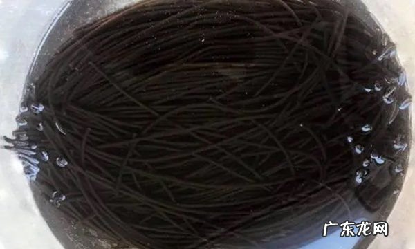 干的蕨根粉要泡多久,蕨根粉怎么泡得又快又好吃