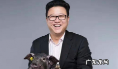 网易为什么叫猪厂,网易为什么被称为养猪场