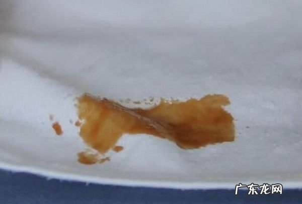 油渍可以干洗掉吗?,衣服有油渍可以拿去干洗洗得掉