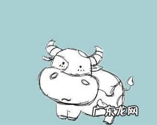 爱钻牛角尖的动物是什么生肖,爱钻牛角尖的动物是什么生肖