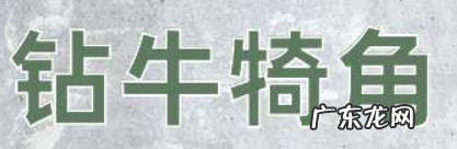 爱钻牛角尖的动物是什么生肖,爱钻牛角尖的动物是什么生肖