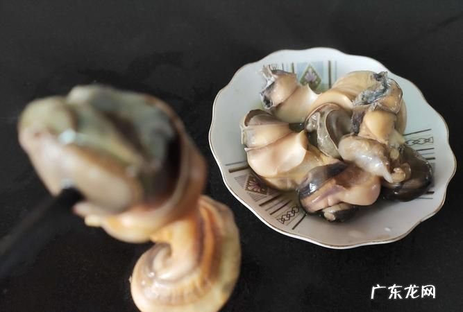 螺蛳壳是腐烂垃圾,螺蛳壳属于什么垃圾分类类别