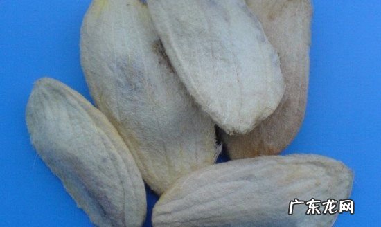 哪些果核是干垃圾,芒果核是干垃圾还是湿垃圾