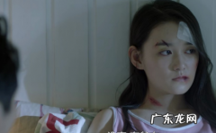 朱露莎打武丹丹是多少集,带着爸爸去留学武丹被打是哪一集