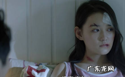 朱露莎打武丹丹是多少集,带着爸爸去留学武丹被打是哪一集