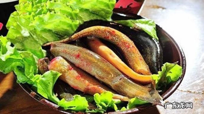 泥鳅四种人不宜吃,什么人不能吃泥鳅好和黄鳝