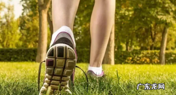 26000步大概多少公里,23000步大概等于多少公里路