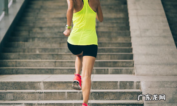 26000步大概多少公里,23000步大概等于多少公里路