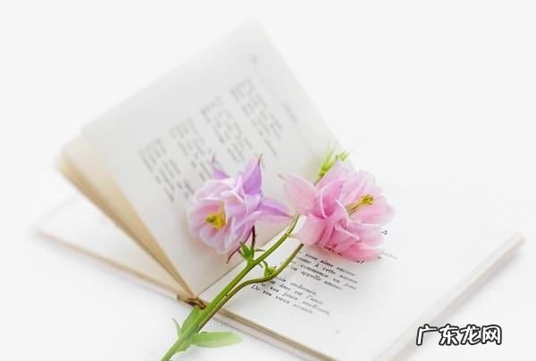 雨花石是自然形成的,水里的雨花石是天然产生的