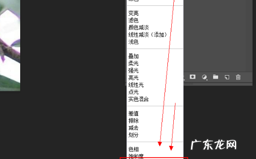 如何消除照片紫边,ps出血边怎么设置