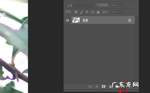 如何消除照片紫边,ps出血边怎么设置