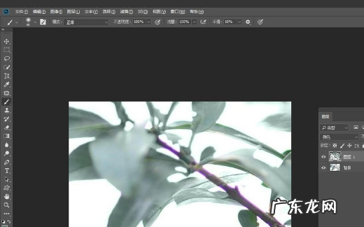 如何消除照片紫边,ps出血边怎么设置