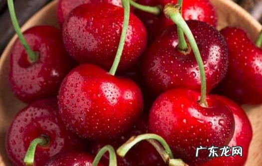 樱桃吃不了可以冷冻起来,大樱桃能冷冻保存