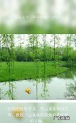 绿玉带是指什么东西,绿玉带是指什么东西