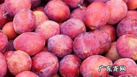 李子吃了对胃有影响吗,脾胃虚弱的人能吃李子 李子吃太多会怎样