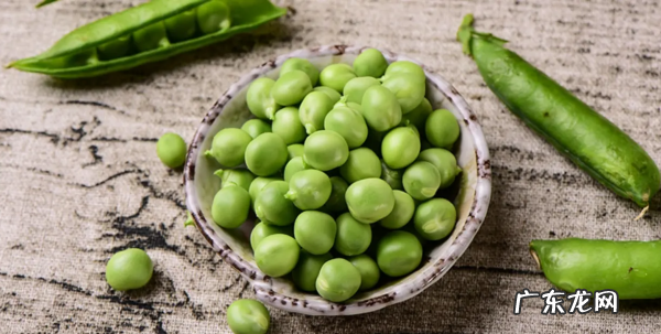 豌豆放冰箱发芽能吃,豌豆放冰箱发芽能吃怎么吃的