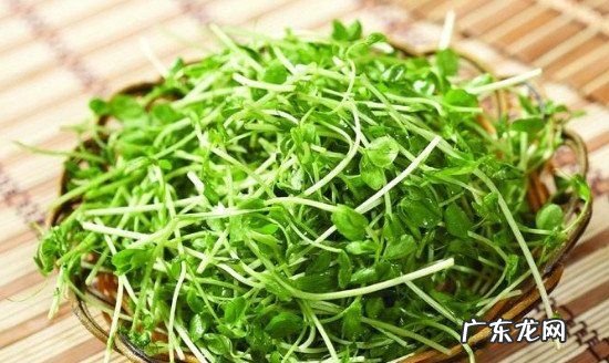 豌豆放冰箱发芽能吃,豌豆放冰箱发芽能吃怎么吃的