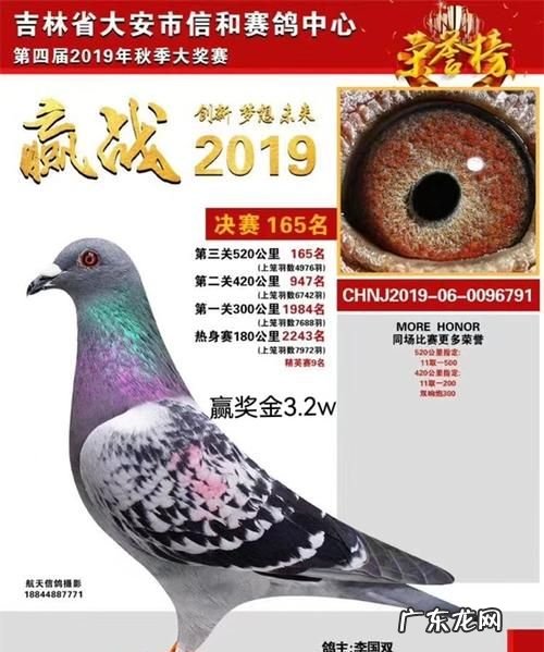 豆杵子学名是什么,东北豆杵子是什么动物