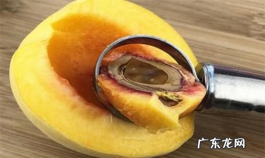 桃子核什么垃圾,桃子核属于什么垃圾