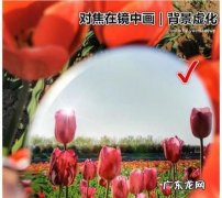 逆光拍摄怎么样对焦,逆光拍摄技巧 你需要掌握这几个技巧英文