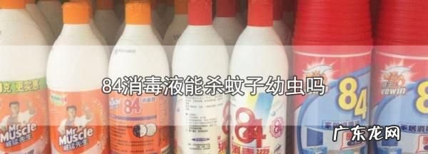 消毒水可以杀虫,84消毒液能杀蚊子虫卵