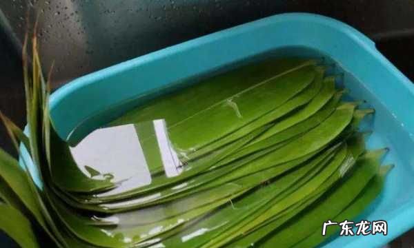 买的湿粽叶还要煮,新鲜的粽子叶需要煮