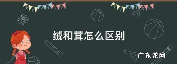 绒和茸怎么区别,绒字的意思可能与什么有关