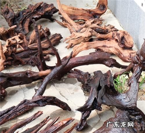 紫柚木沉木要不要煮,煮沉木用碱还是小苏打