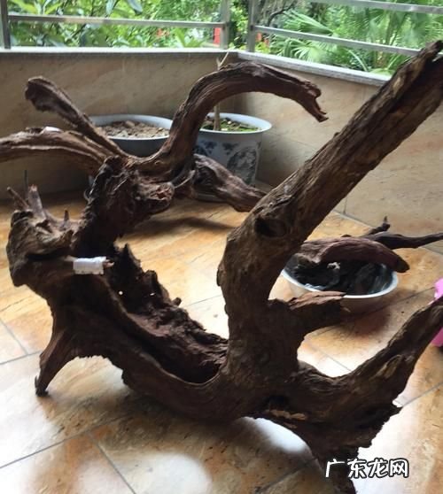 紫柚木沉木要不要煮,煮沉木用碱还是小苏打