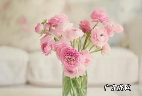 鲜花可以保存多长时间,玫瑰花束可以保存几天