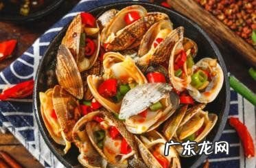 花蛤壳是干垃圾吗?,花甲是什么垃圾 花甲属于什么垃圾
