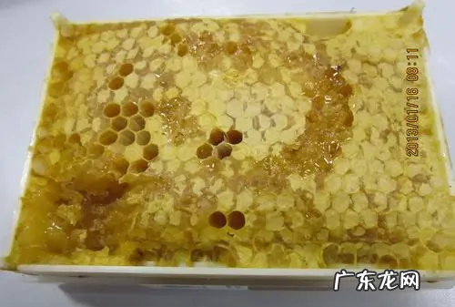 蜂巢是什么型的,蜜蜂的蜂巢是什么形状的