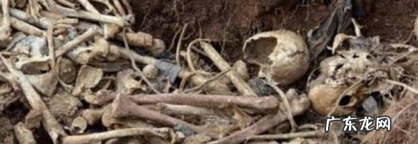 阿伟出来走流程是什么梗,走流程是什么意思