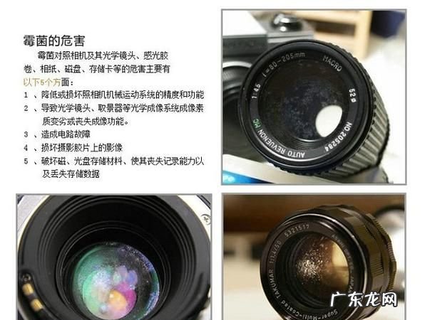 单反发霉怎么办,单反镜头发霉怎么清理多少钱