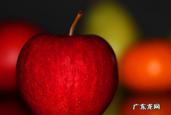 菠萝蜜摘下来没熟要怎样才会熟,菠萝蜜怎么快速催熟方法