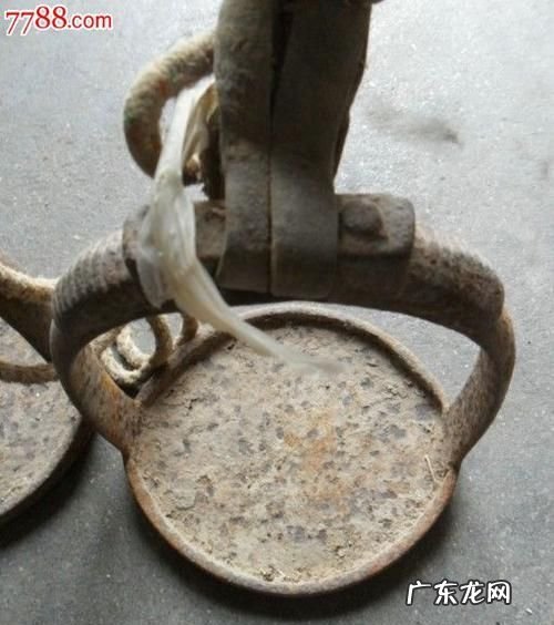 马蹬子什么时候产生的,马蹬是什么时候发明的