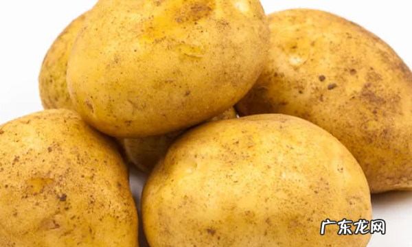 谷薯类食物有哪些,有哪些食物