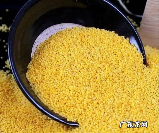 小米结成团了还能吃吗,小米结成团了还能吃 小米结成团了还能不能吃