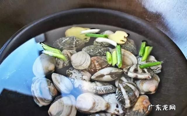 蛤蜊放盐水里不张嘴,昨天抓的花蛤放在淡盐水里怎么一个张嘴的都没有