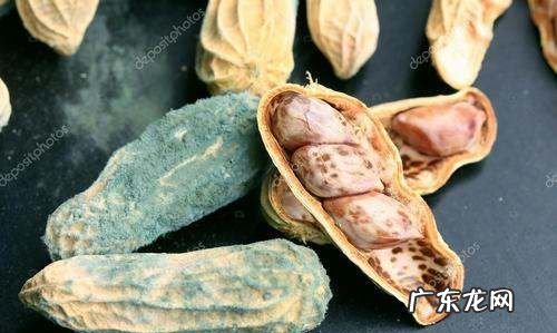 怎么样让花生尽快发霉,怎样让花生尽快发霉的方法