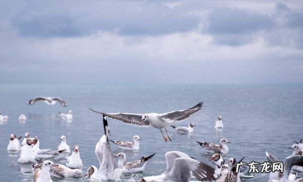拍人像用什么档,认识相机|相机档位