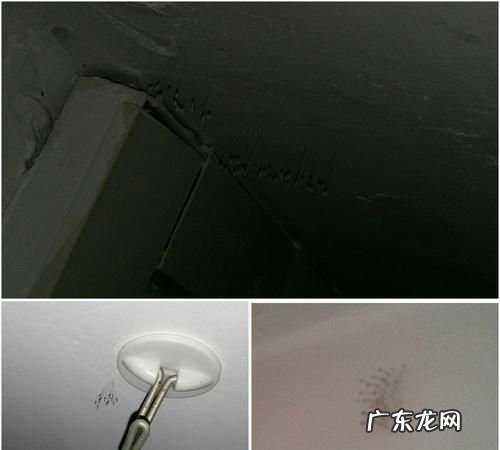 马桶周围有黑色线虫怎么杀死,马桶边有黑色的虫子怎么处理