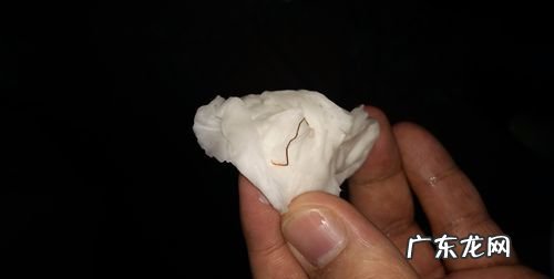 马桶周围有黑色线虫怎么杀死,马桶边有黑色的虫子怎么处理