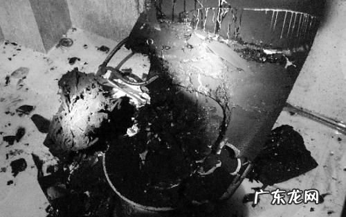 马桶周围有黑色线虫怎么杀死,马桶边有黑色的虫子怎么处理