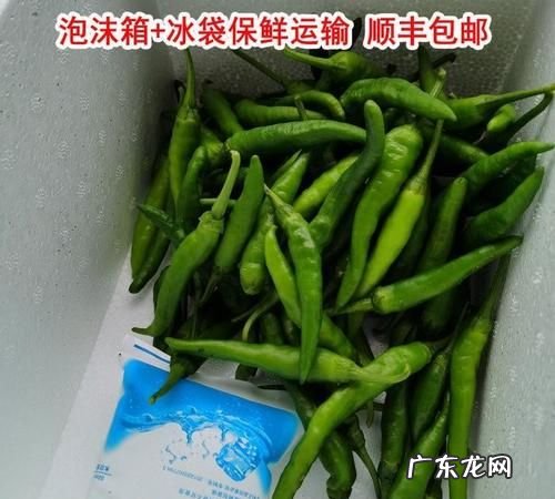辣椒保鲜储存方法,怎样储存鲜辣椒冬天吃好