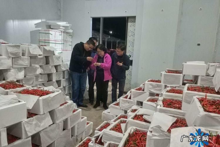 辣椒保鲜储存方法,怎样储存鲜辣椒冬天吃好