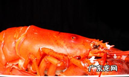 波龙怎么做好吃又简单,波士顿龙虾怎么做好吃