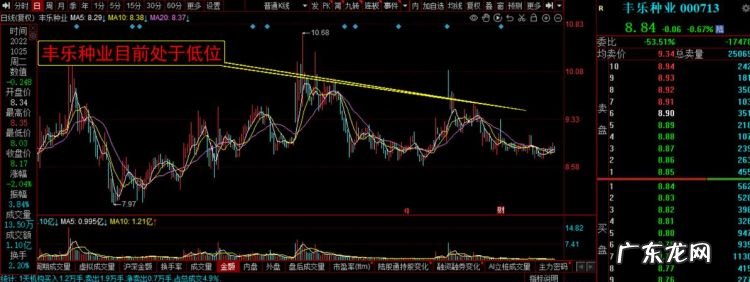 异动拉升意味着什么,股票高位异动什么意思