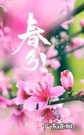 春分有什么特别之处,春分节气的气候特点是什么样的