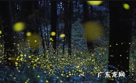 上半夜和下半夜怎么分,上半夜和下半夜怎么划分